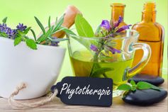 Fitoterapia