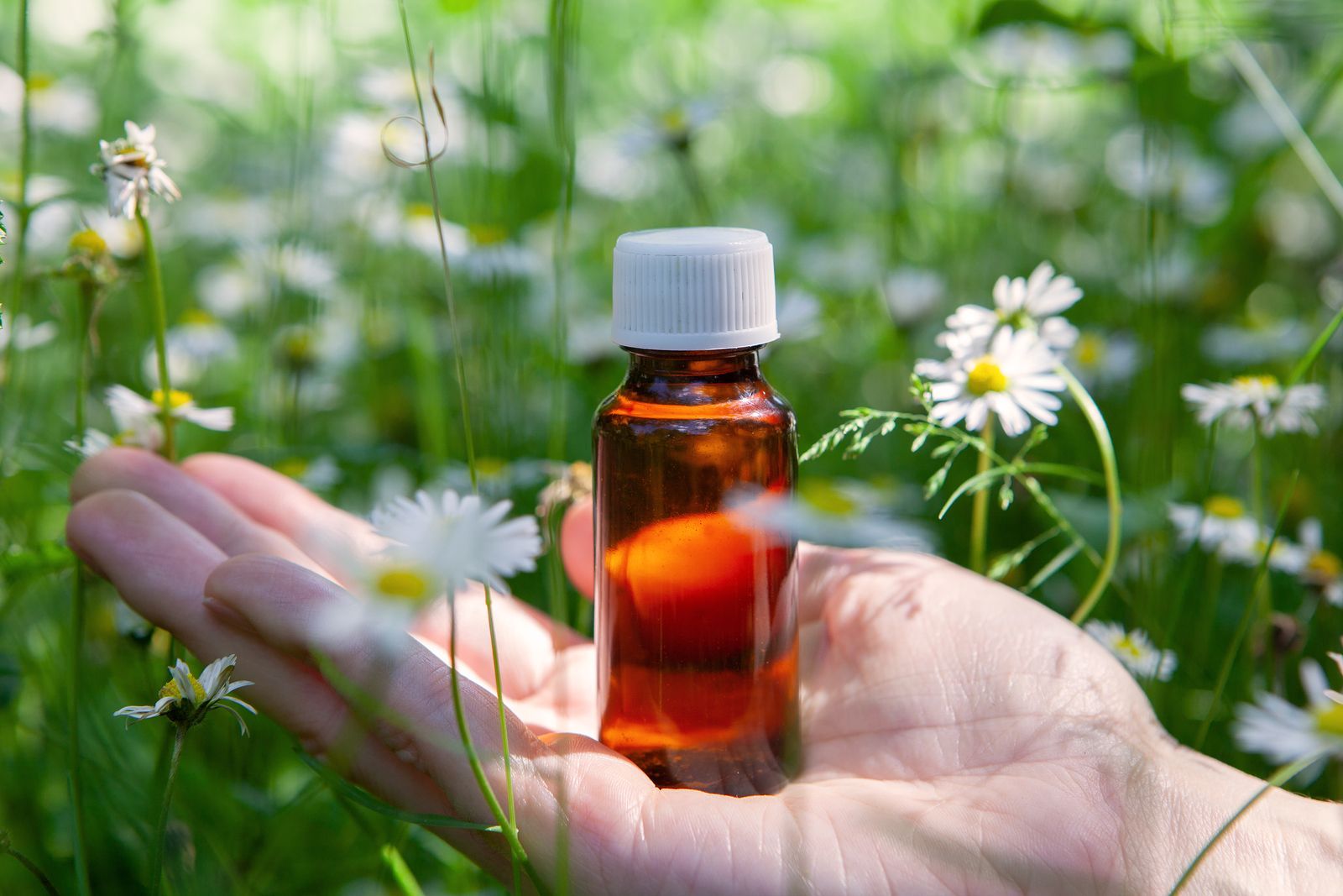 Los aceites esenciales del Curso Esencial Bach