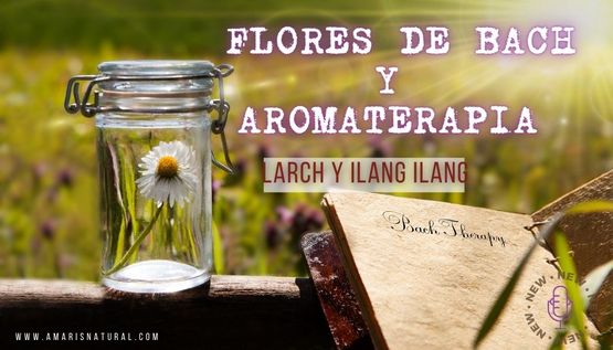 Flor a flor del Curso Esencial Bach