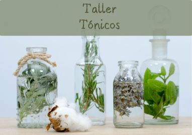 Imagen del Taller de Tónicos