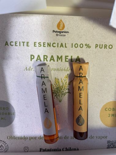 un gran proyecto de investigación.