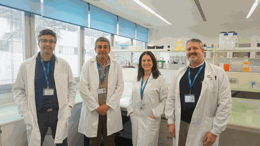 Los aceites esenciales de plantas aromáticas reducen el riesgo cardiovascular...