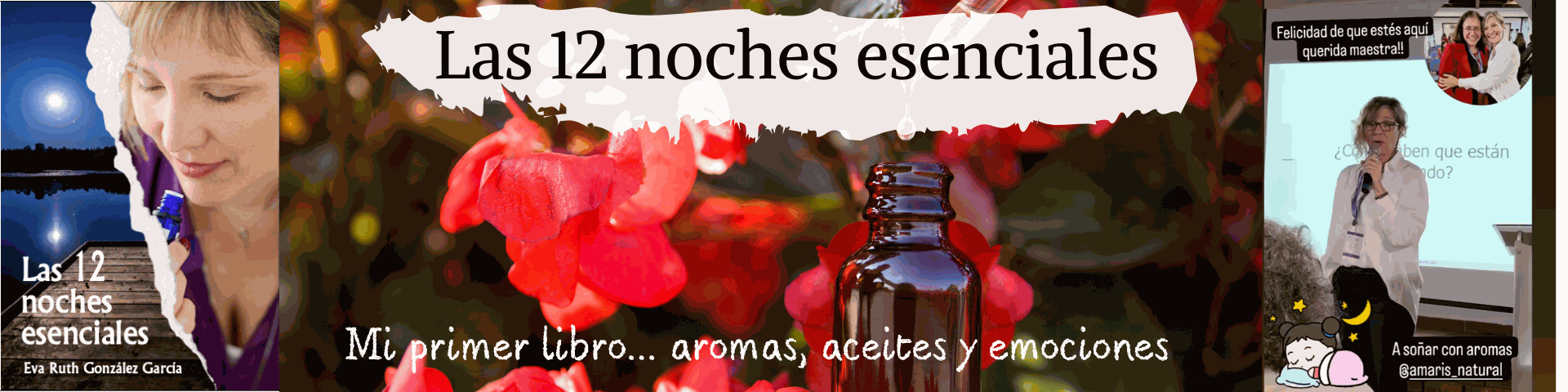 Cabecera de la sección  de mi primer libro Las 12 noches esenciales