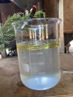 destilación de lavanda