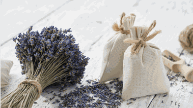 Aromaterapia en el hogar en el Curso Vida Aromática