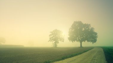 Imagen de un paisaje para ser el punto de partida