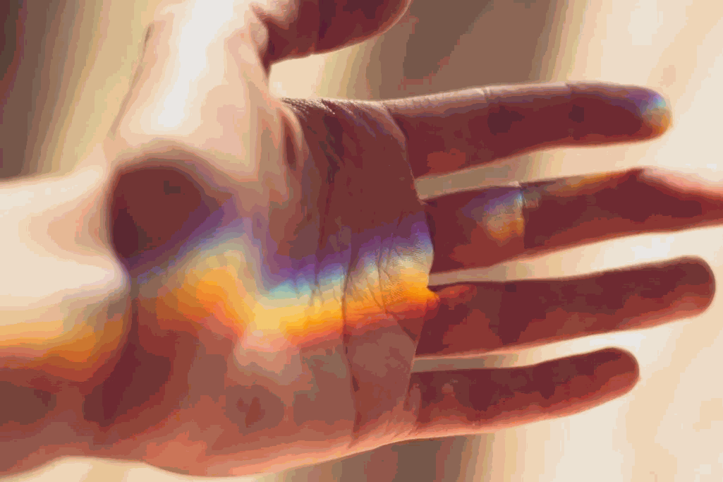 Cuerpo energético del Curso Técnico en Gemoterapia aplicada