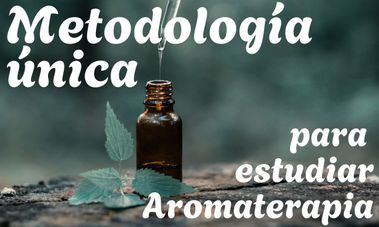 Imagen Taller grupal de Constelaciones familiarres