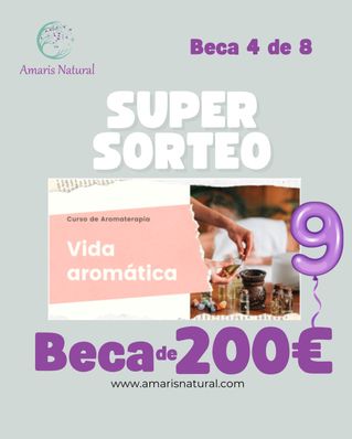 Beca 4 de 8
