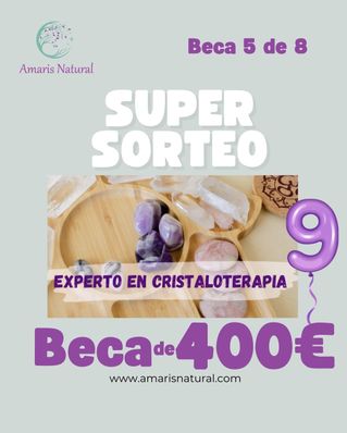 Beca 5 de 8
