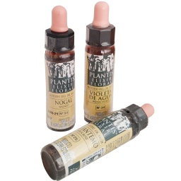 [FB023] 23 Olive/Olivo 10 ml